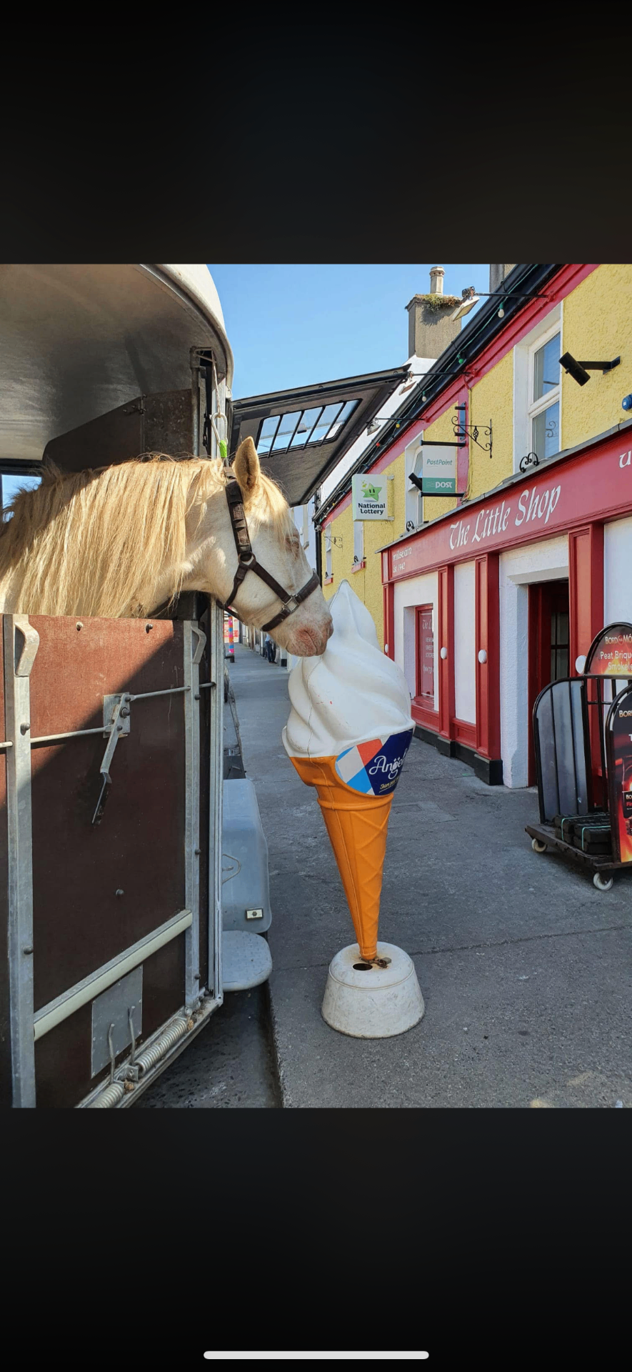 A horse curiously sniffing the giant 99 ice cream cone outside The Little Shop — the craic is 99